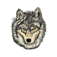 Seppala Siberian Sleddog Animals Seppala Siberian Sleddog Animals