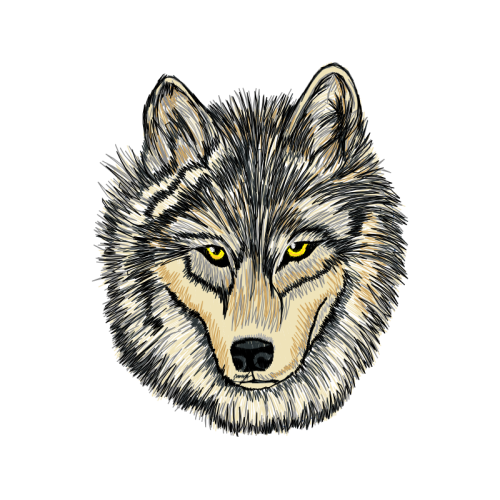 Seppala Siberian Sleddog Animals Seppala Siberian Sleddog Animals