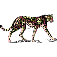 Seppala Siberian Sleddog Animals Seppala Siberian Sleddog Animals