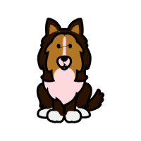 Sheltie Animals Sheltie Animals