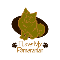 Shiba Inu Animals Shiba Inu Animals