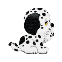 Shih Poo Animals Shih Poo Animals