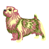 Shih Tzu Animals Shih Tzu Animals