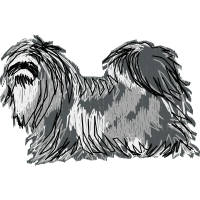 Shih Tzu Animals Shih Tzu Animals