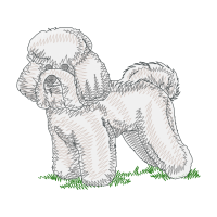 Shih Tzu Animals Shih Tzu Animals