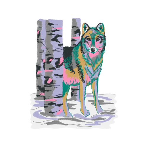 Shiloh Shepherd Dog Animals Shiloh Shepherd Dog Animals