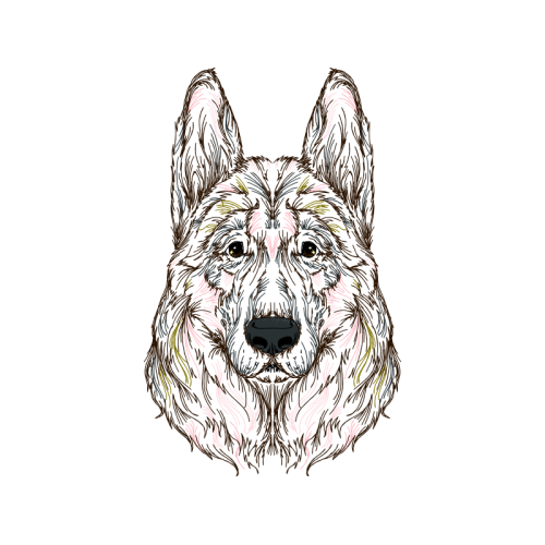 Shiloh Shepherd Dog Animals Shiloh Shepherd Dog Animals