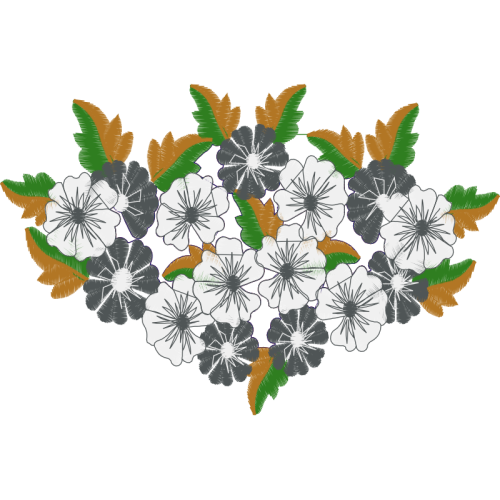 Shoeblackplant Animals Shoeblackplant Animals