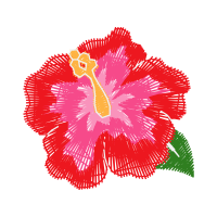 Shoeblackplant Animals Shoeblackplant Animals