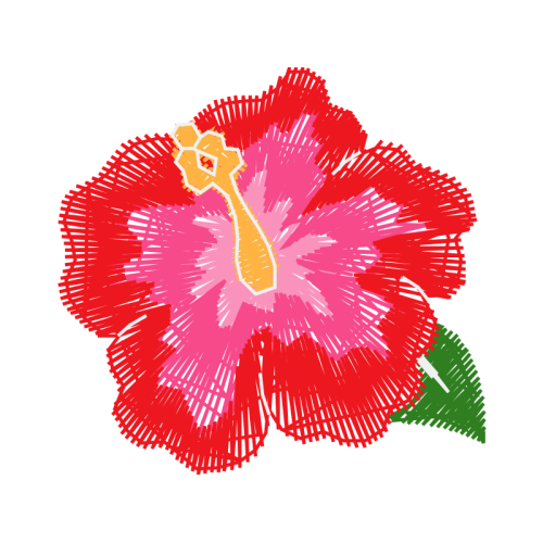 Shoeblackplant Animals Shoeblackplant Animals