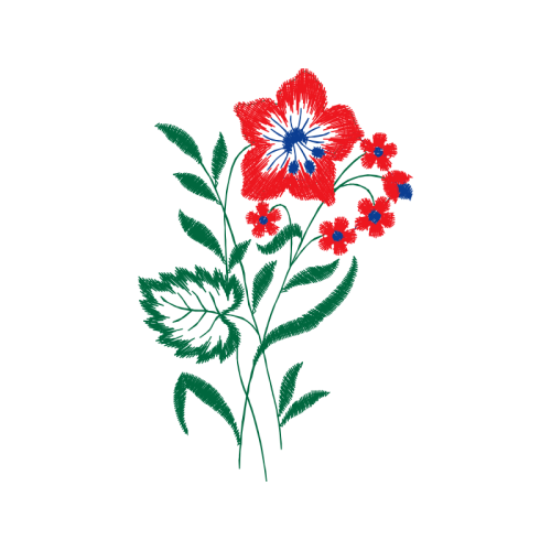 Shoeblackplant Animals Shoeblackplant Animals