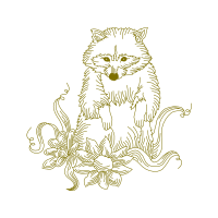 Siberian Cat Animals