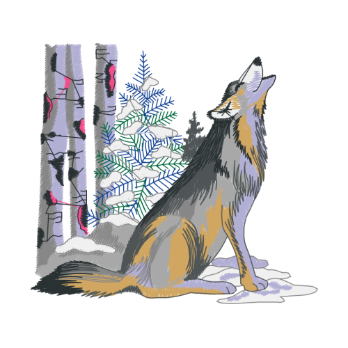 Siberian Husky Animals Siberian Husky Animals