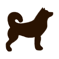 Siberian Husky Animals Siberian Husky Animals