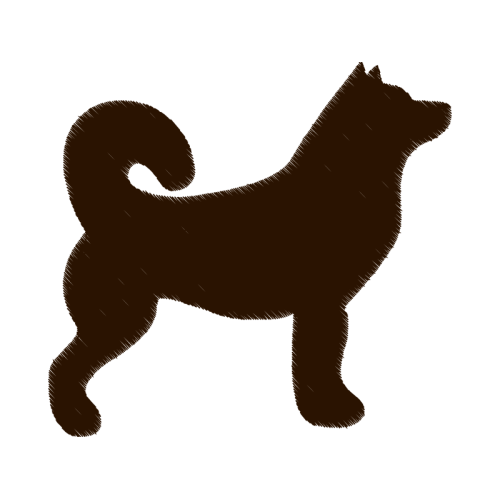 Siberian Husky Animals Siberian Husky Animals