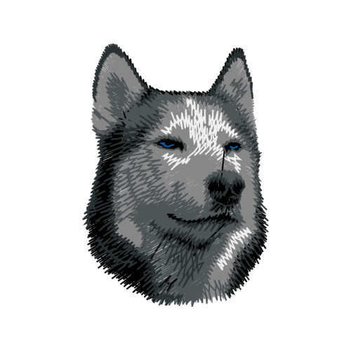 Siberian Husky Animals Siberian Husky Animals