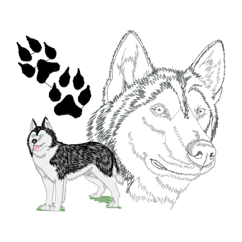 Siberian Husky Animals Siberian Husky Animals