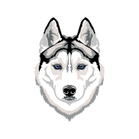 Siberian Husky Animals Siberian Husky Animals