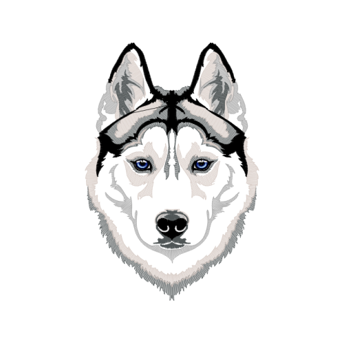 Siberian Husky Animals Siberian Husky Animals