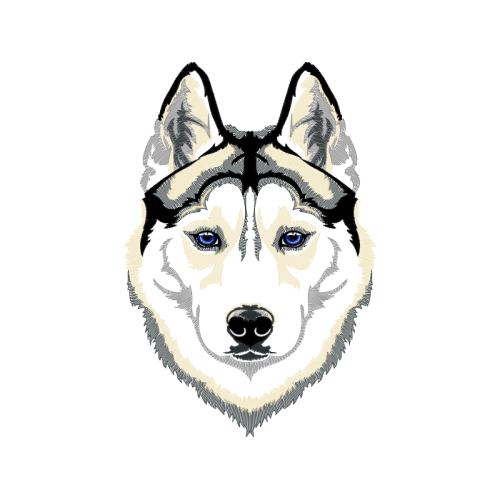 Siberian Husky Animals Siberian Husky Animals