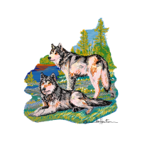 Siberian Husky Animals Siberian Husky Animals