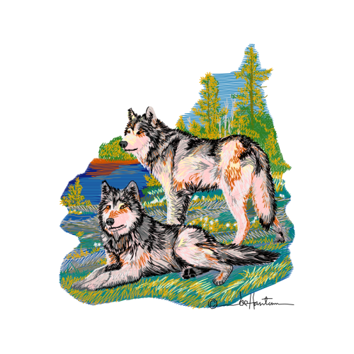 Siberian Husky Animals Siberian Husky Animals