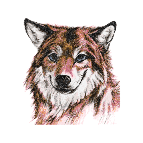 Siberian Husky Animals Siberian Husky Animals