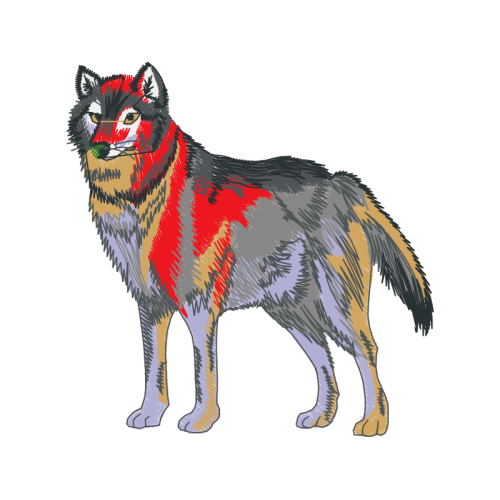 Siberian Husky Animals Siberian Husky Animals