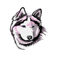 Siberian Husky Animals