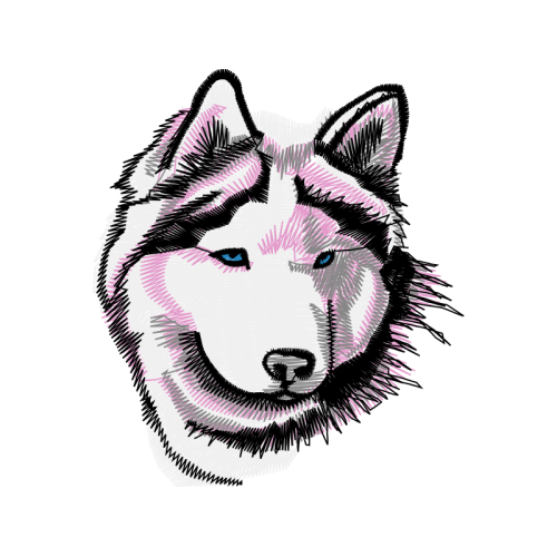 Siberian Husky Animals Siberian Husky Animals