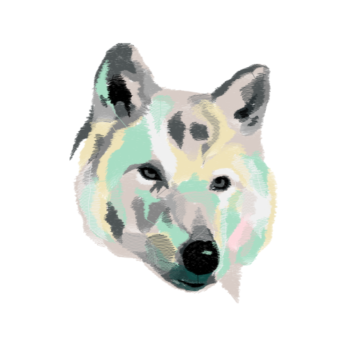 Siberian Husky Animals Siberian Husky Animals