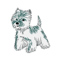 Silky Terrier Animals Silky Terrier Animals