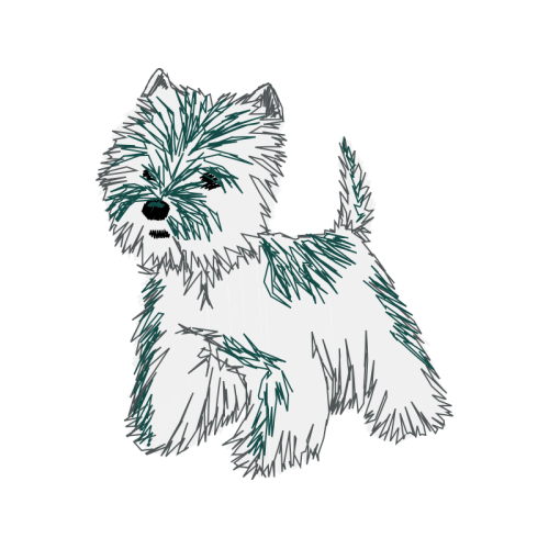 Silky Terrier Animals Silky Terrier Animals