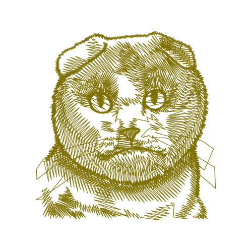 Sketch Animals Sketch Animals