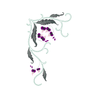 Sketch Animals Sketch Animals