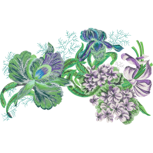 Sketch Animals Sketch Animals