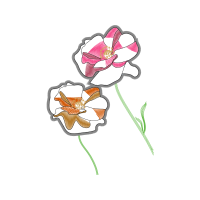 Sketch Animals Sketch Animals