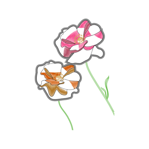 Sketch Animals Sketch Animals