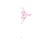 Sketch Animals Sketch Animals