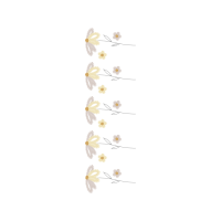 Sketch Animals Sketch Animals