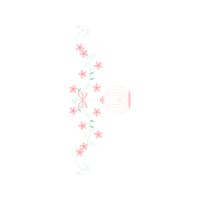 Sketch Animals Sketch Animals