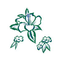 Sketch Animals Sketch Animals