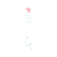 Sketch Animals Sketch Animals