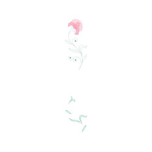 Sketch Animals Sketch Animals