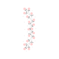 Sketch Animals Sketch Animals