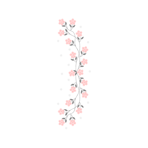 Sketch Animals Sketch Animals