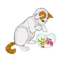 Slow Loris Animals Slow Loris Animals