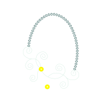 Smp Plus Darul Masholih Animals Smp Plus Darul Masholih Animals