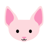 Snout Animals Snout Animals