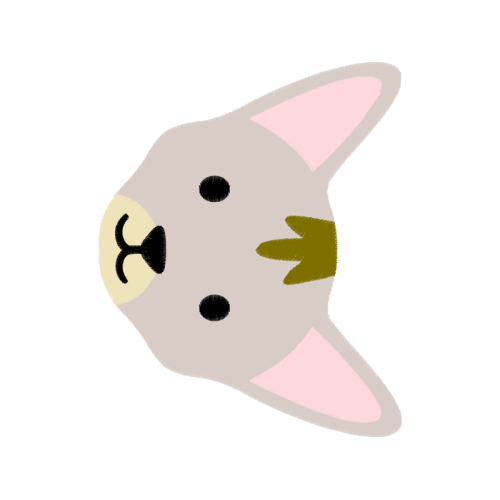 Sock Animals Sock Animals